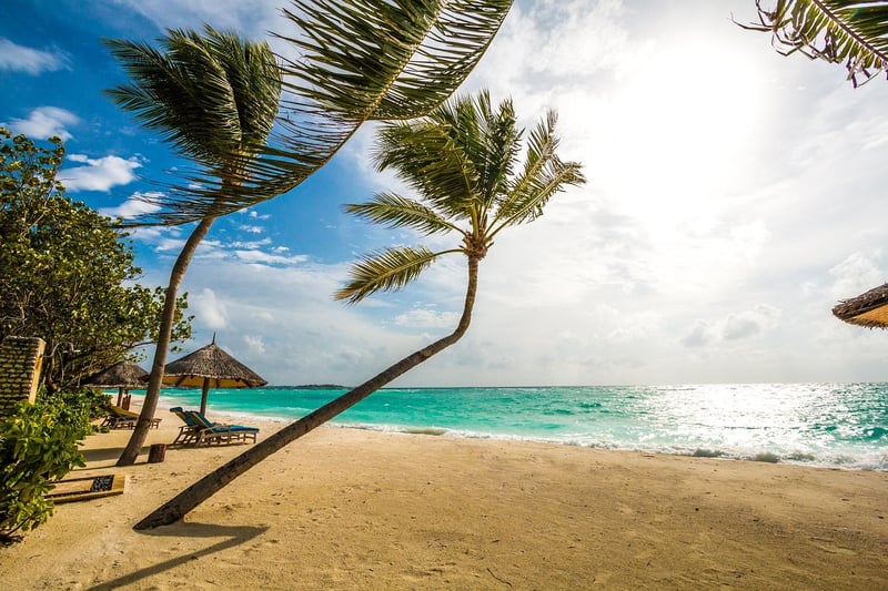 Exotic Vacation