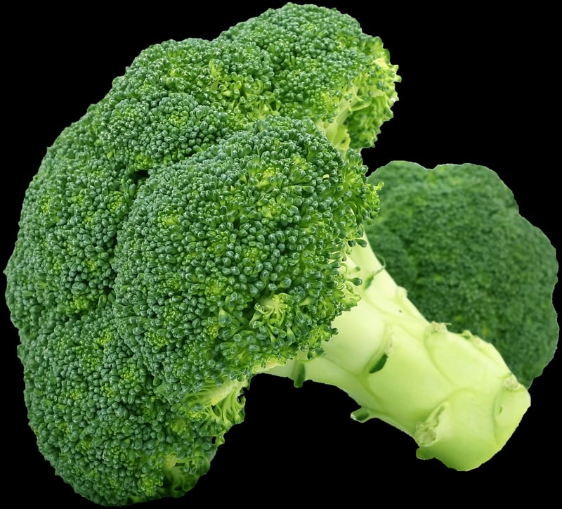 Steamed Broccoli